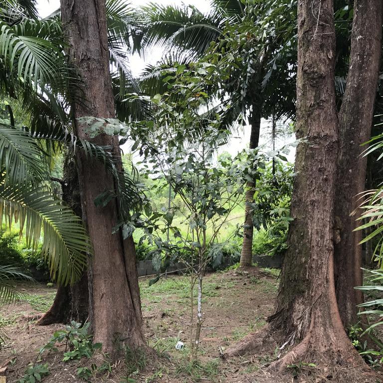 Coconut Bungalow Nai Yang Zewnętrze zdjęcie