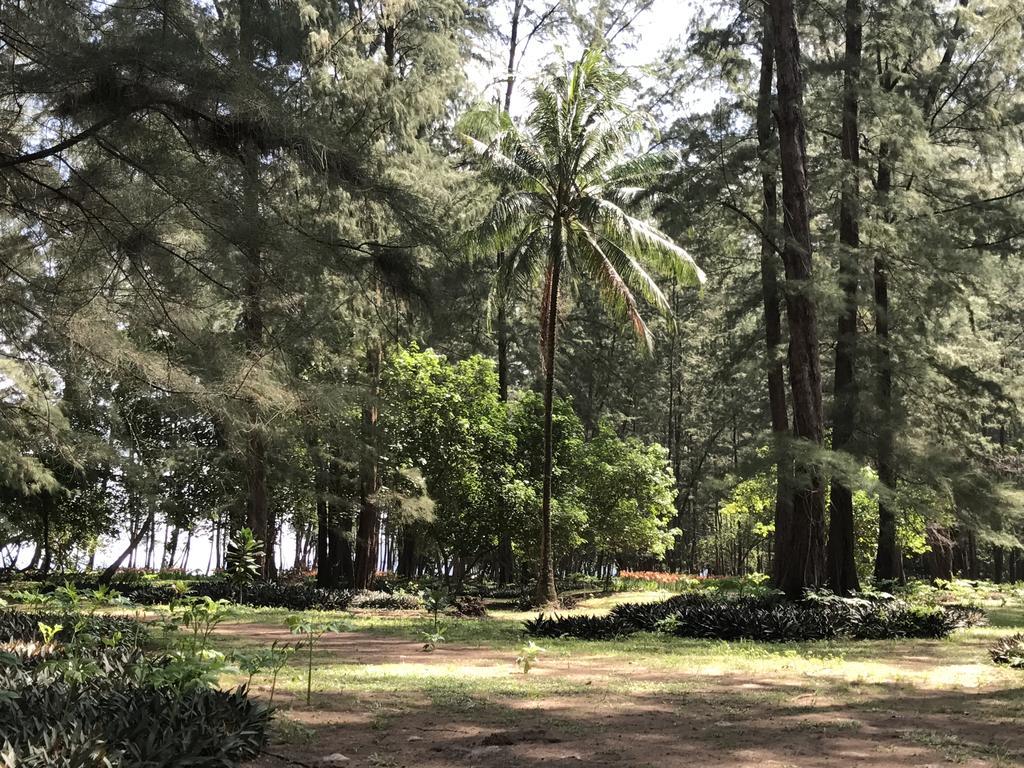 Coconut Bungalow Nai Yang Zewnętrze zdjęcie