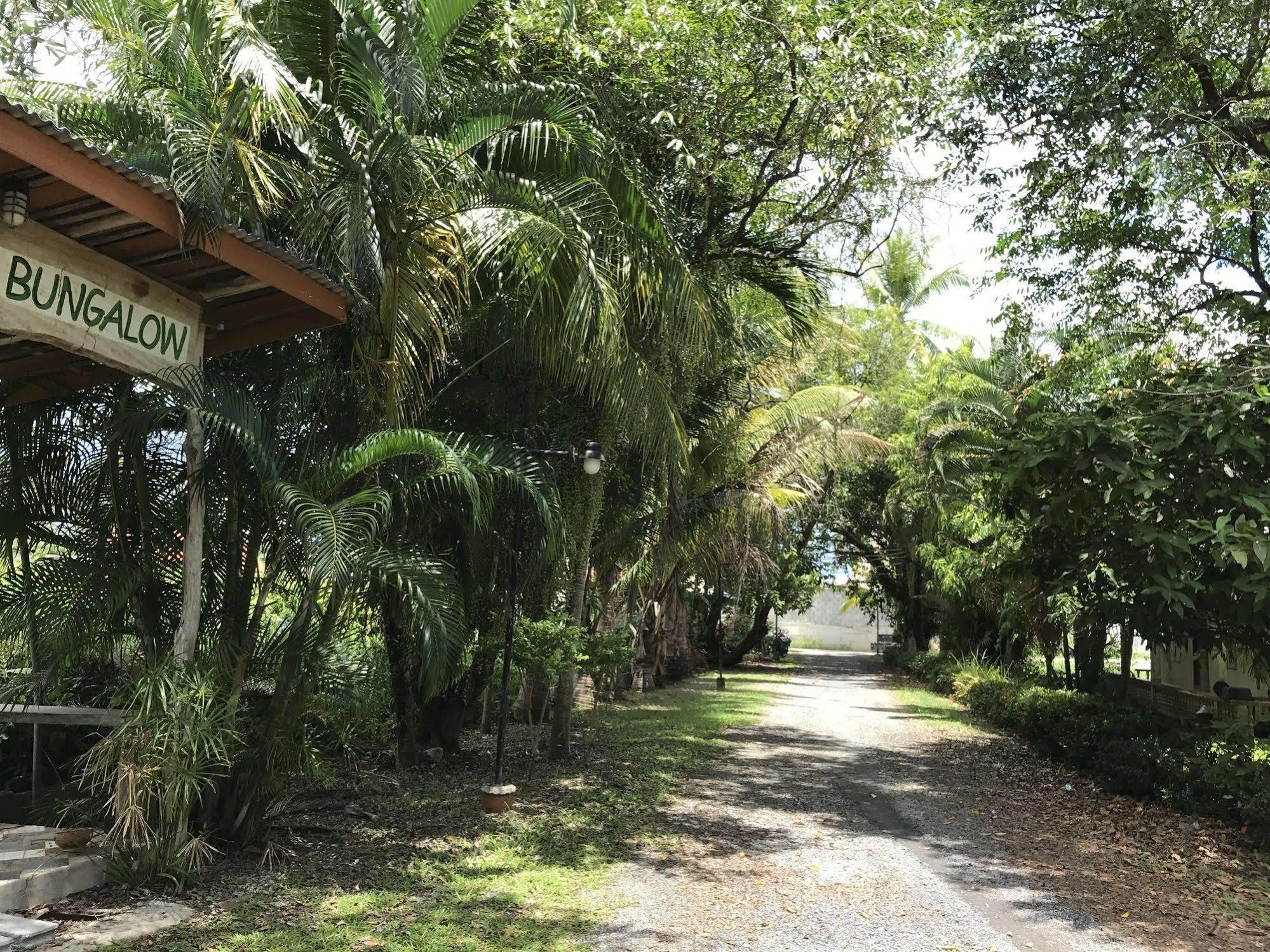 Coconut Bungalow Nai Yang Zewnętrze zdjęcie