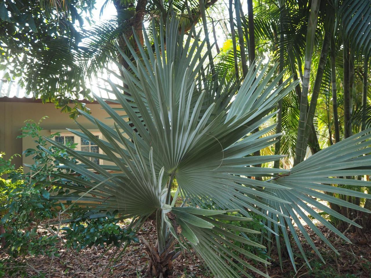 Coconut Bungalow Nai Yang Zewnętrze zdjęcie